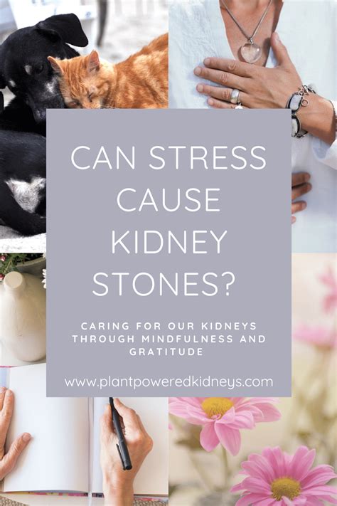 Can Stress Cause Kidney Stones Find Out Here