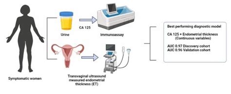 Cancers Free Full Text Diagnostic Potential Of Endometrial Cancer