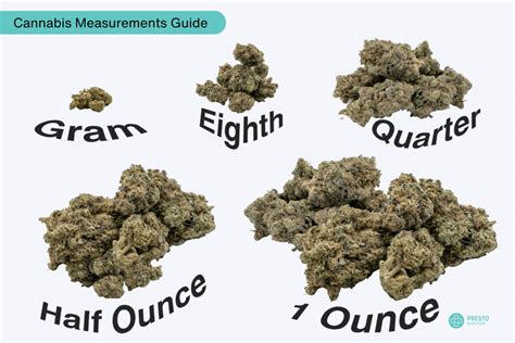 Cannabis Quantities A Visual Guide To Weed Measurements
