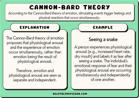 Cannon Bard Theory Explained