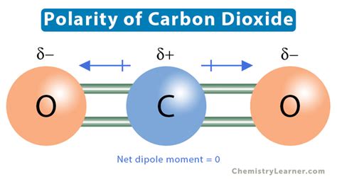 Carbon Dioxide Co2 Polarity