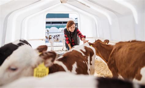 Career Opportunities In Agribusiness Management Top 10 Jobs After