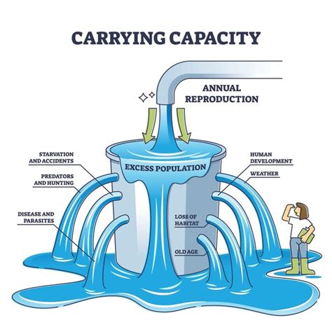 Carrying Capacity Example Explained