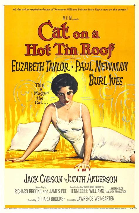 Cat on a Hot Tin Roof Play Review