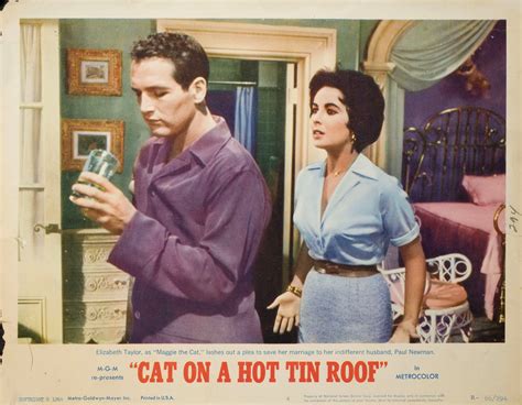 Cat On A Hot Tin Roof