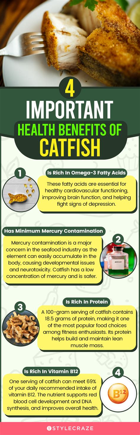 Catfish Facts And Health Benefits