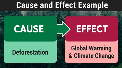 Cause and Effect Examples Explained