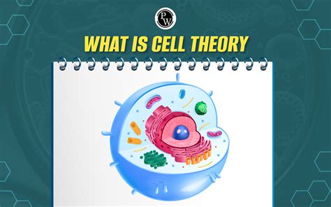 Cell Theory History Definition Principles Examples
