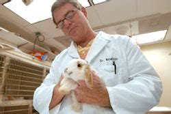 Central Jersey Gets 24 Hour Animal Emergency Facility Veterinary