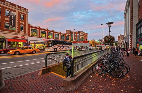 Central Square Cambridge MA Guide