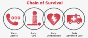 Chain Of Survival 2017 1024X462 Png Download Pngkit