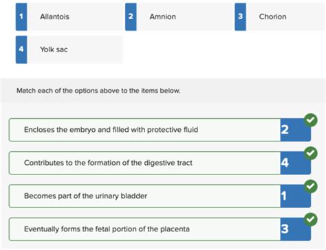 Chapter 29 Study Questions Flashcards Quizlet