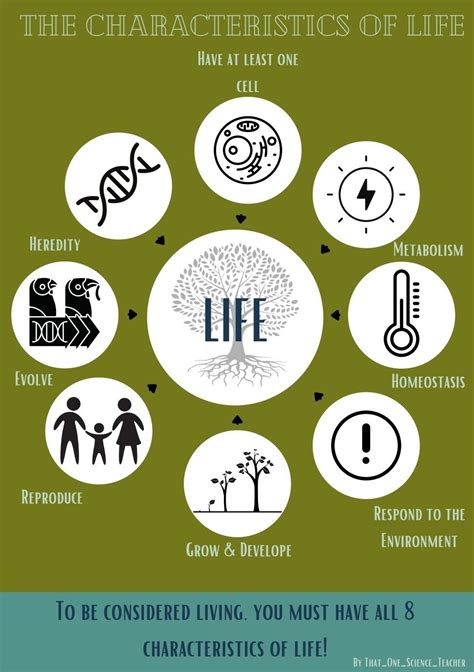 Characteristics Of Life Poster 8 Life Poster Biology Lessons