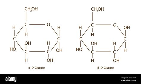 Chemical Structure Of Alpha D Glucose And Beta D Glucose Chemical