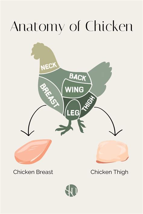 Chicken Breast Vs Chicken Thigh Which Is Healthier Sam S Alfresco