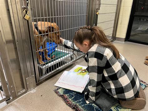 Children Can Read To Adoptable Pets At Denver Shelter S Bedtime Stories