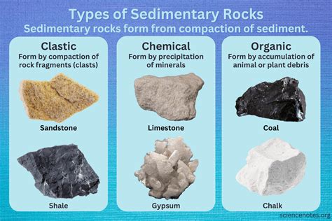Choose Two Examples Of The Sedimentary Rocks