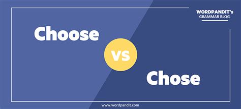 Choose Vs Chose Cat Wordpandit