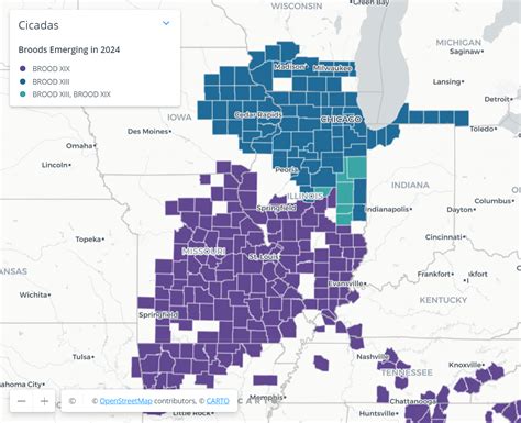 Illinois Cicada Map 2024