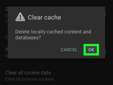 Clear Cookies and Cache Now