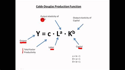 5 Cobb Douglas Tips