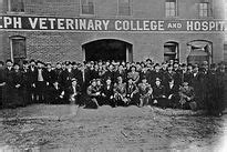 College Images St Joseph Veterinary College History College Of
