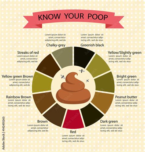 Color Of Your Poop Chart Stool Color Changes And Chart What Does It