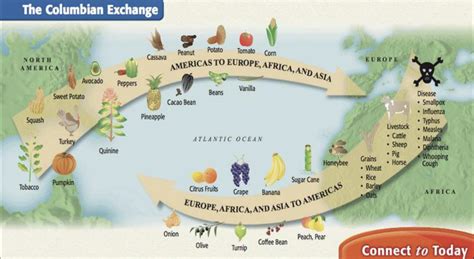 Columbian Exchange Chart