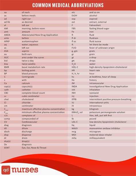 Common Medical Abbreviations And Terms You Should Know 2023
