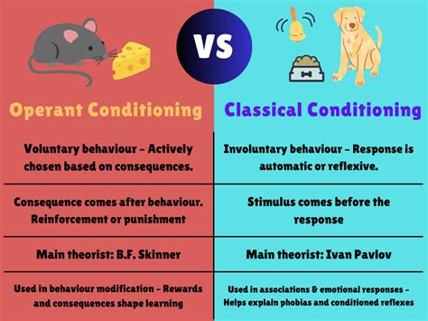 Conditioning Operant Vs Classical Training Dogs