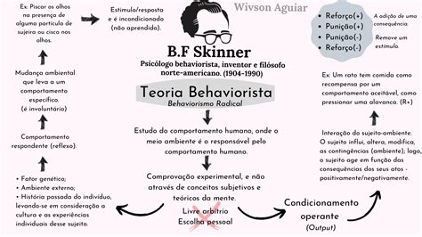 Conhe A A Teoria Do Behaviorismo De Skinner Mundo Carreira