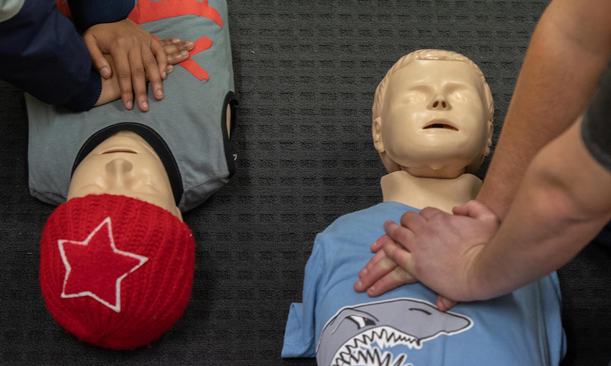 Cpr Course Adelaide Cpr Refresher Course Adelaide