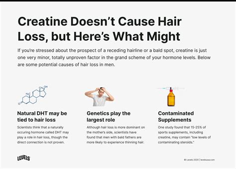 Creatine Hair Loss