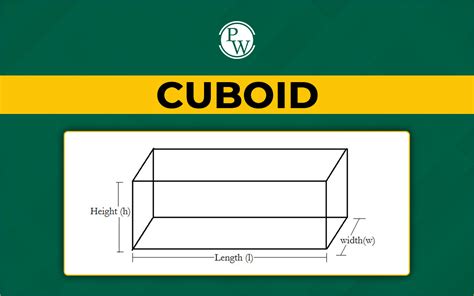 Cuboid Definition Shape Formulas Properties Cuboid Net Examples