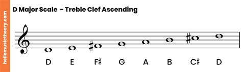 D Major Scale Music Theory