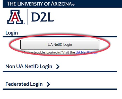 5 D2L UA Tips