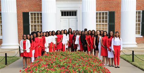 Delta Sigma Pi Sorority Overview