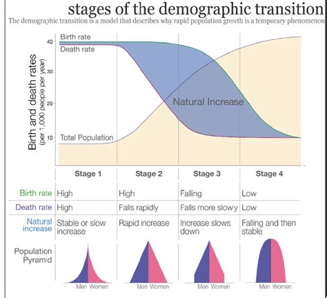 Demographic Trends 2025 Amy S King