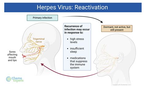 Demystifying The Ocular Herpes Simplex Virus American Academy Of