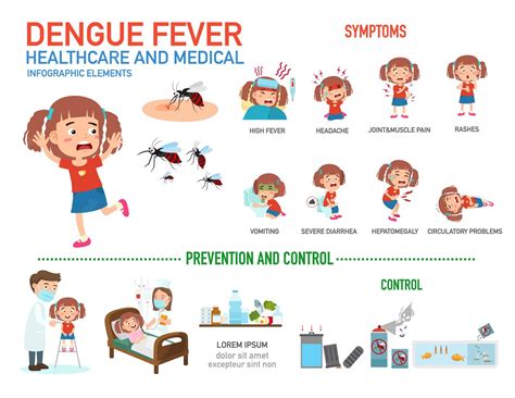 Dengue Fever Signs Symptoms And Prevention Tips Top 10 Home Remedies