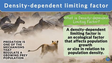 Density Dependent Limiting Factors Explained