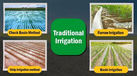 Describe Different Methods Of Irrigation Used In Pakistan