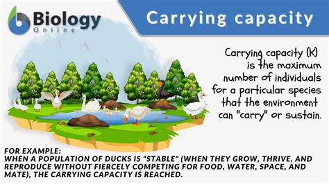 Describe The Concept Of Carrying Capacity For A Species