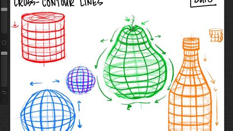 Developing New Skills Cross Contour Lines Artistcoveries Drawing