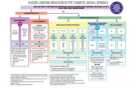 Diabetes Treatment Algorithm Time Of Care
