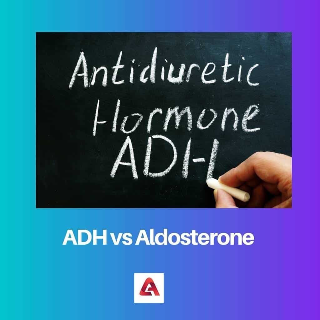 Difference Between Adh And Aldosterone Difference Betweenz