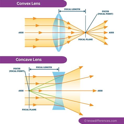 Difference Between Concave And Convex Lens 88Guru