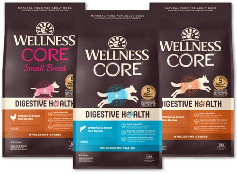 Digestive Health Dog Pet Wellbeing