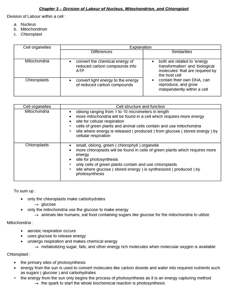 Division Of Labour Within The Chloroplast The Light Reactions Of