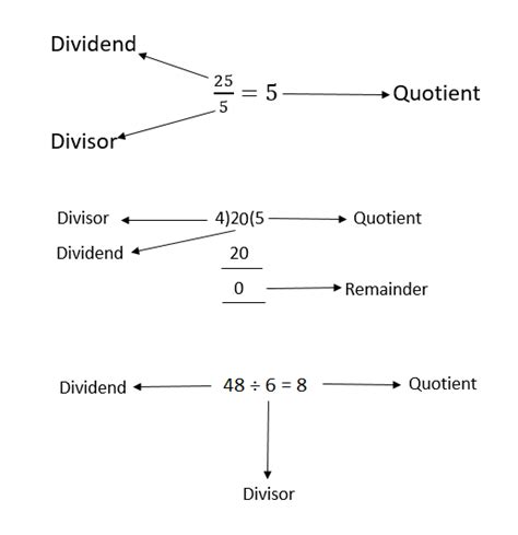 5 Divisor Tips